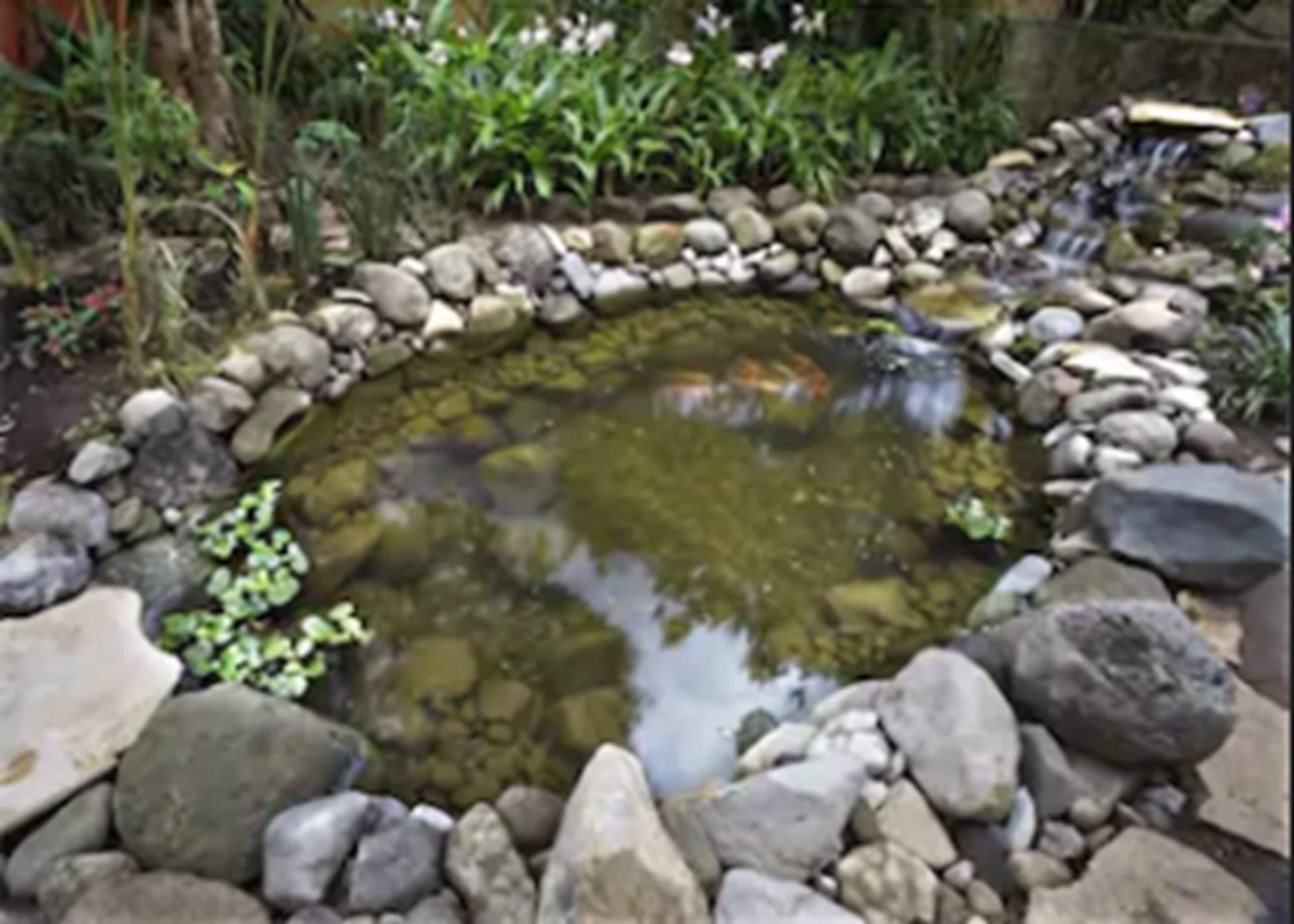 Photo - Guayaba Inn Boutique Hotel