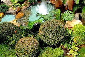 Un jardín con un estanque, rocas y diversas plantas.