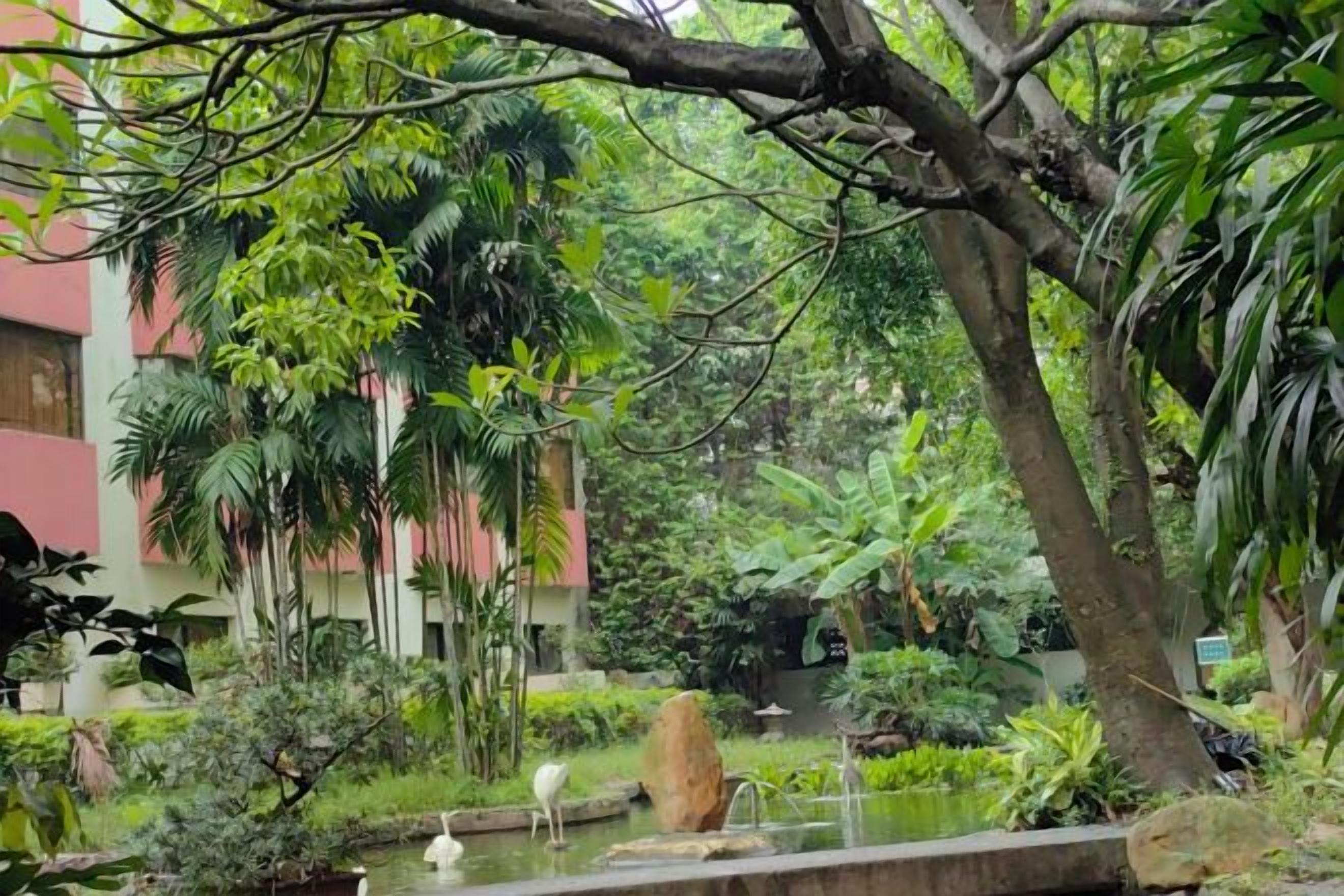 Um jardim exuberante com lago, árvores e um edifício ao fundo.