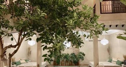 Riad L'oiseau Du Paradis