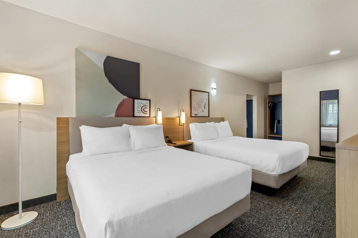 Suite, Multiple Beds