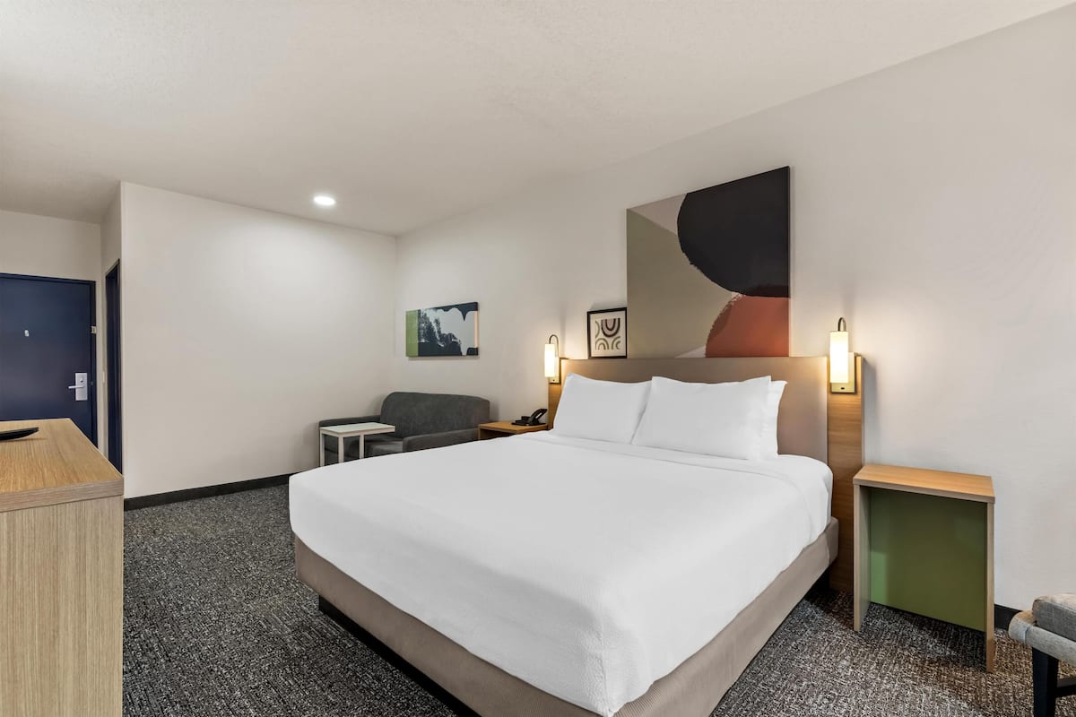 Room, 1 King Bed with Sofa bed