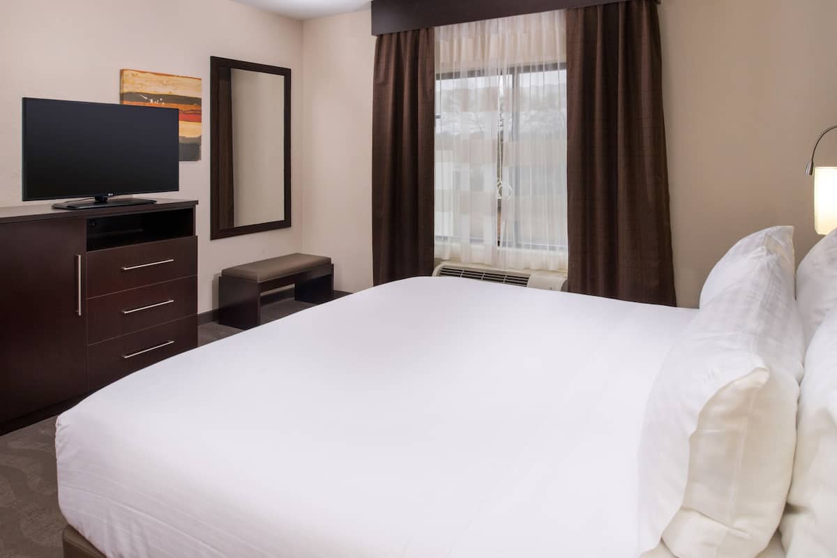 Standard Room, 1 King Bed, Accessible (Mobility Tub) | 1 bedroom, desk, laptop workspace, iron/ironing board