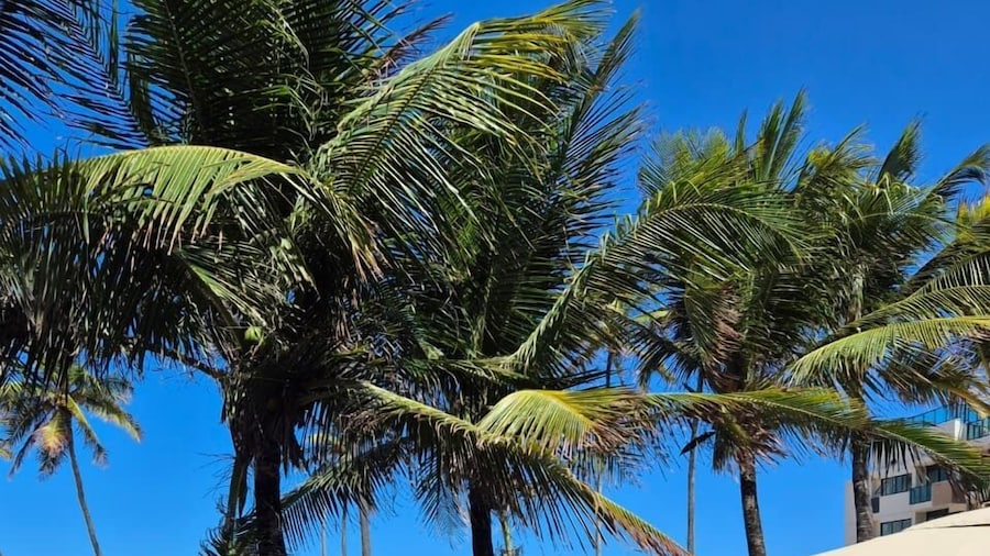 Pousada Recanto do Lobo