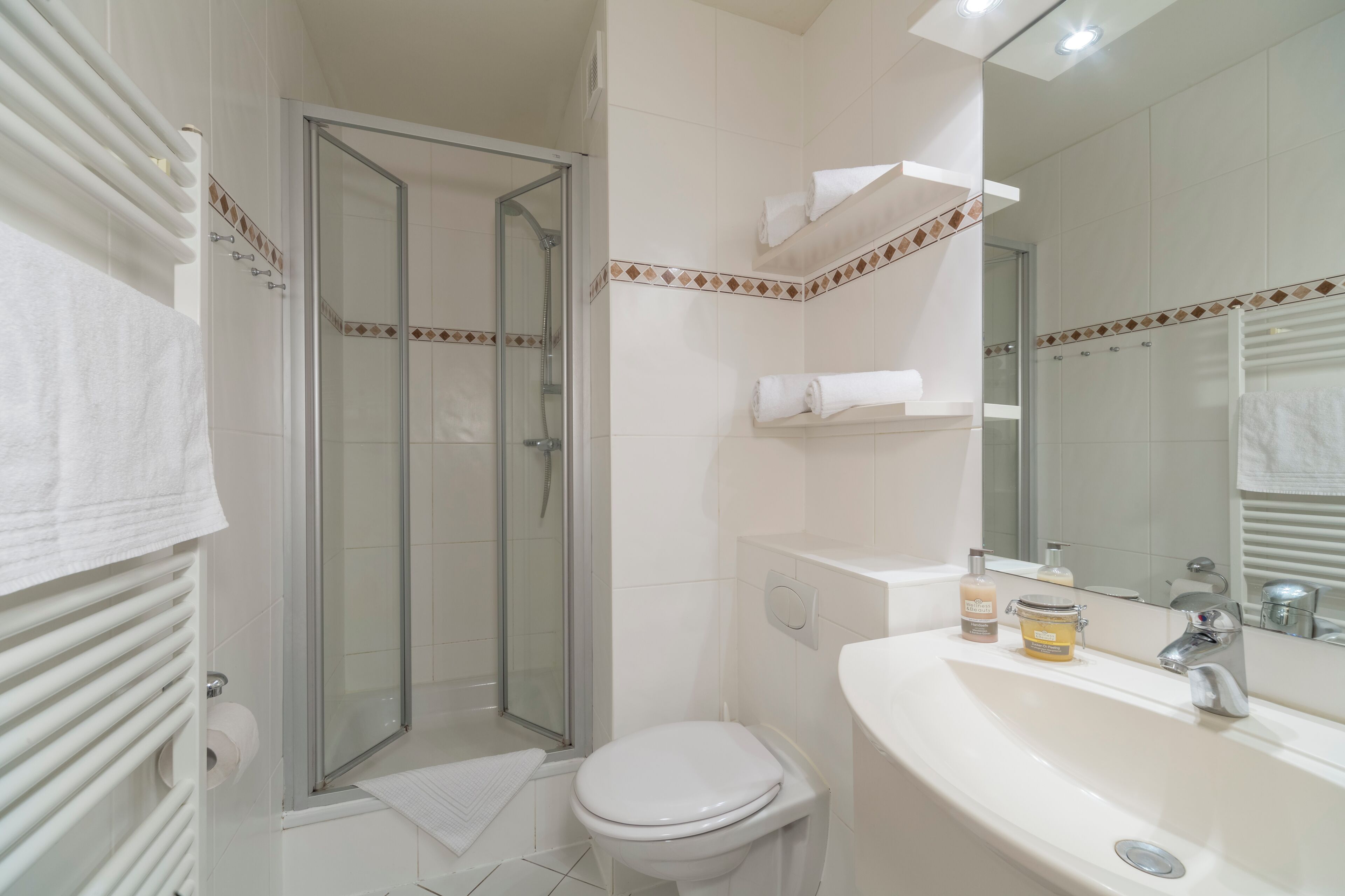 A bathroom with a glass-enclosed shower, a white toilet, a sink with a mirror, and a towel rack.