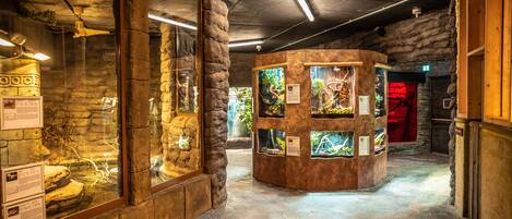 A museum exhibit with glass displays, stone walls, and informational plaques.
