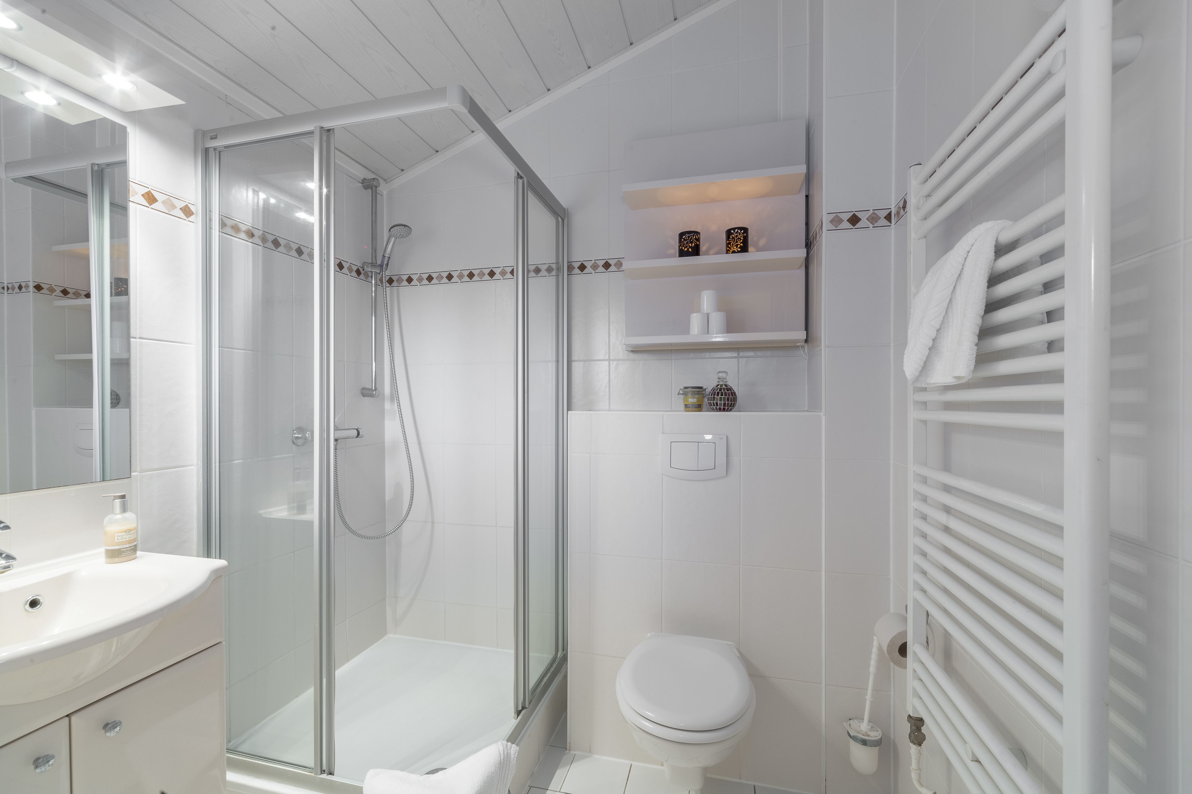 A modern bathroom with a glass-enclosed shower, a white toilet, and a vanity with a mirror.