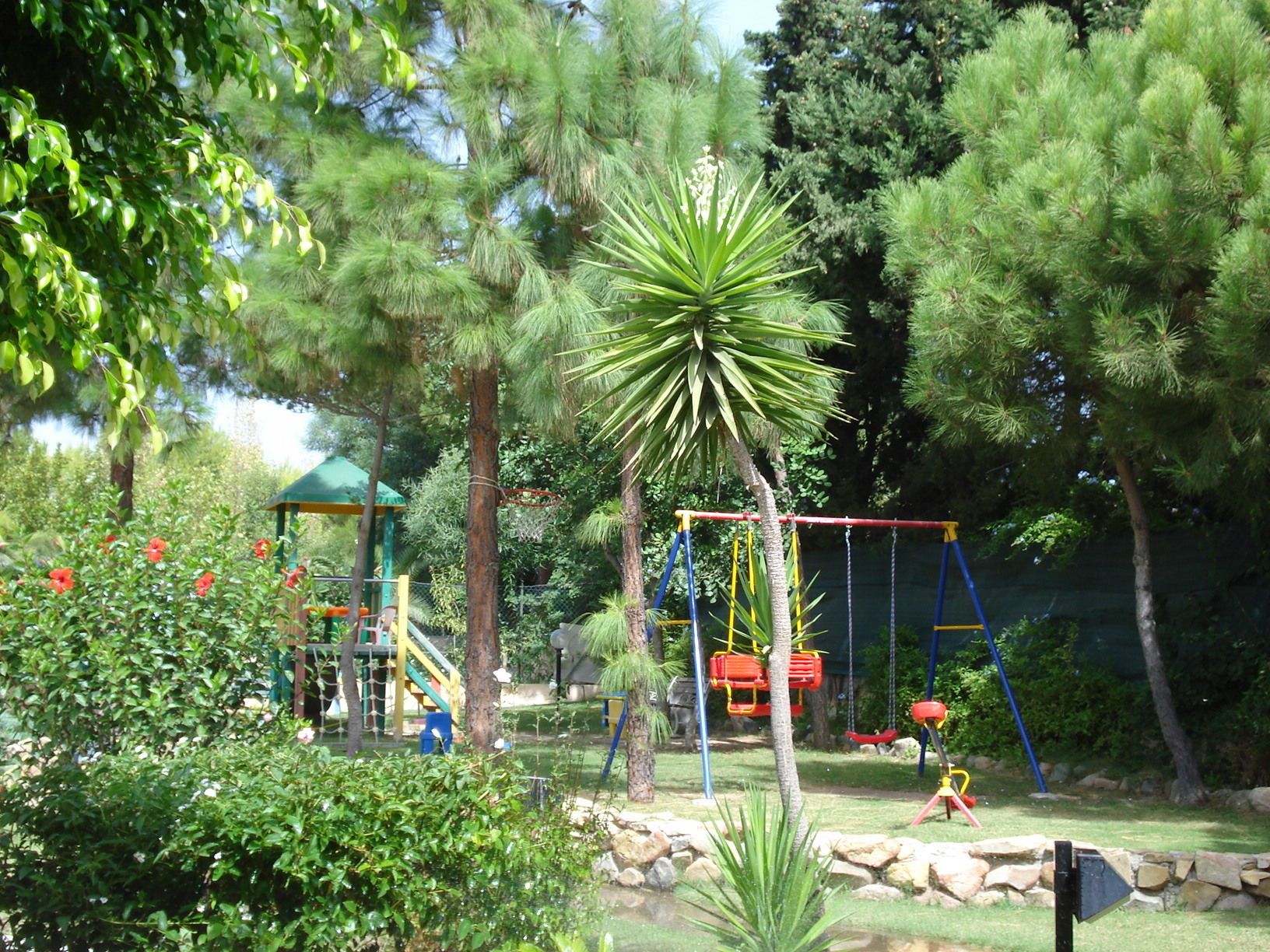 A playground with swings and a climbing structure surrounded by trees and shrubs.