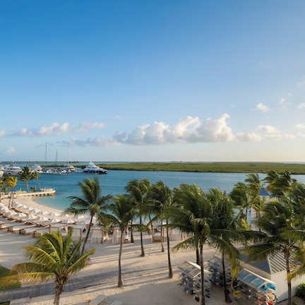 A beachside resort with a marina, palm trees, and lounge chairs.