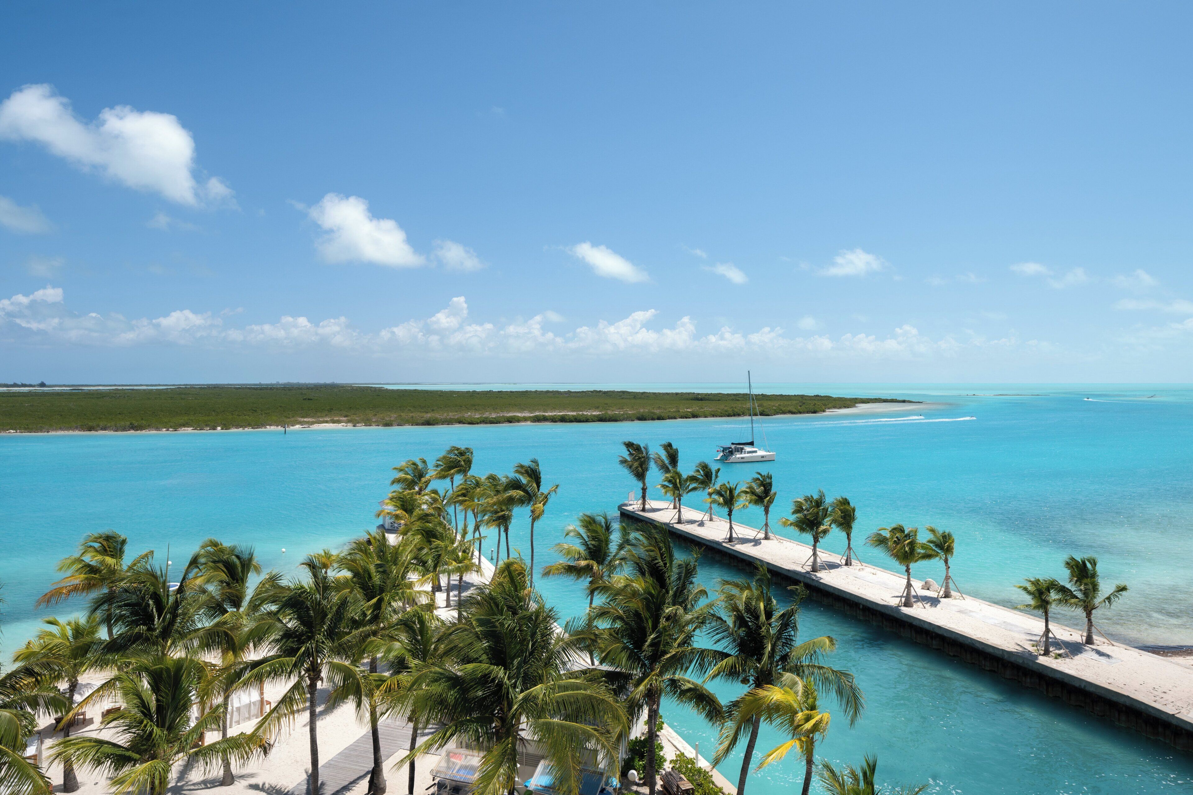 A coastal view with a pier, palm trees, and clear blue water.