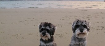 Stone's Throw Guesthouse