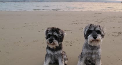 Stone's Throw Guesthouse