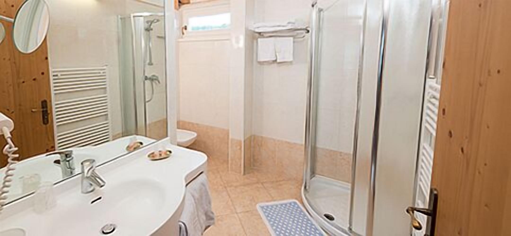 Une salle de bain avec une douche, un lavabo et un miroir.