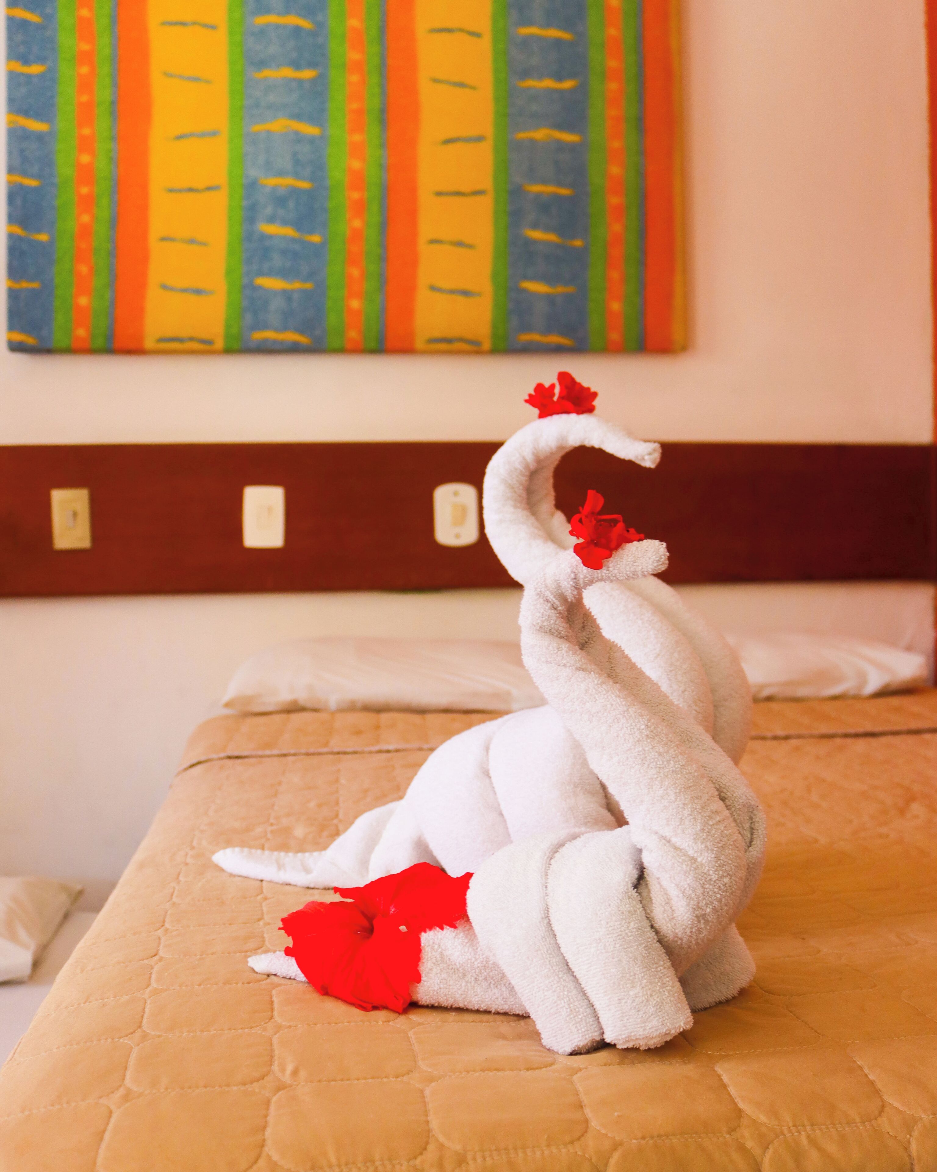 Foto - Pousada Bore Koko