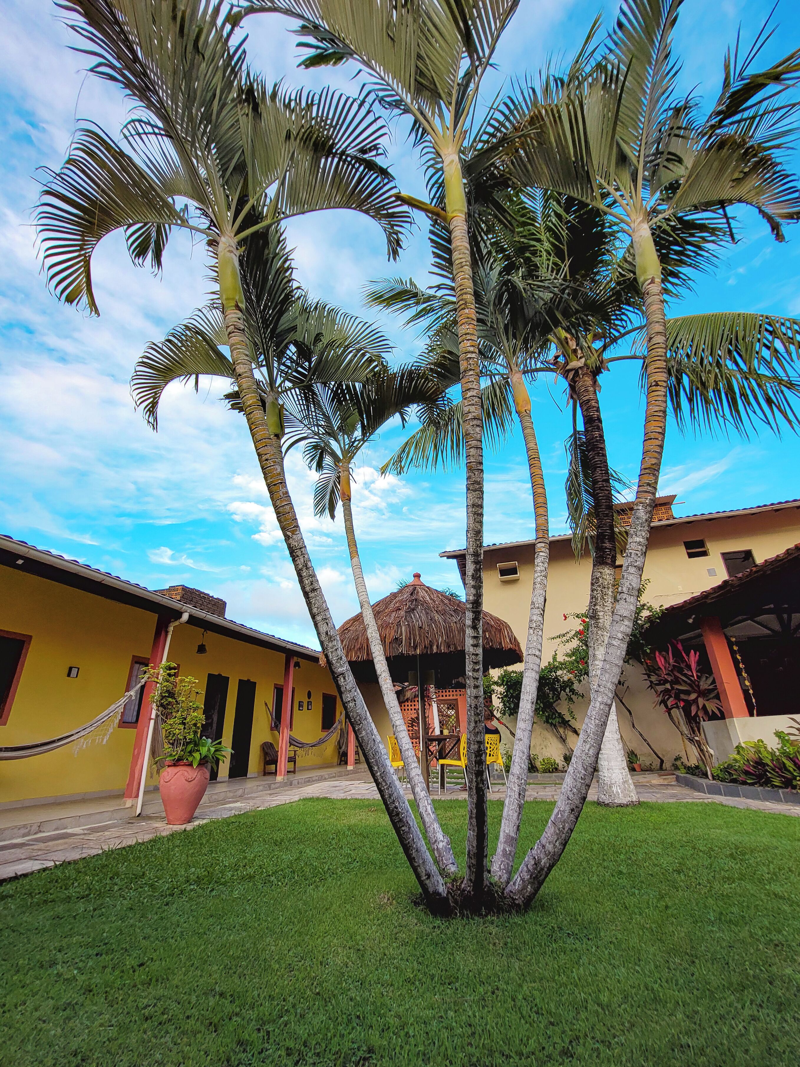 Foto - Pousada Bore Koko