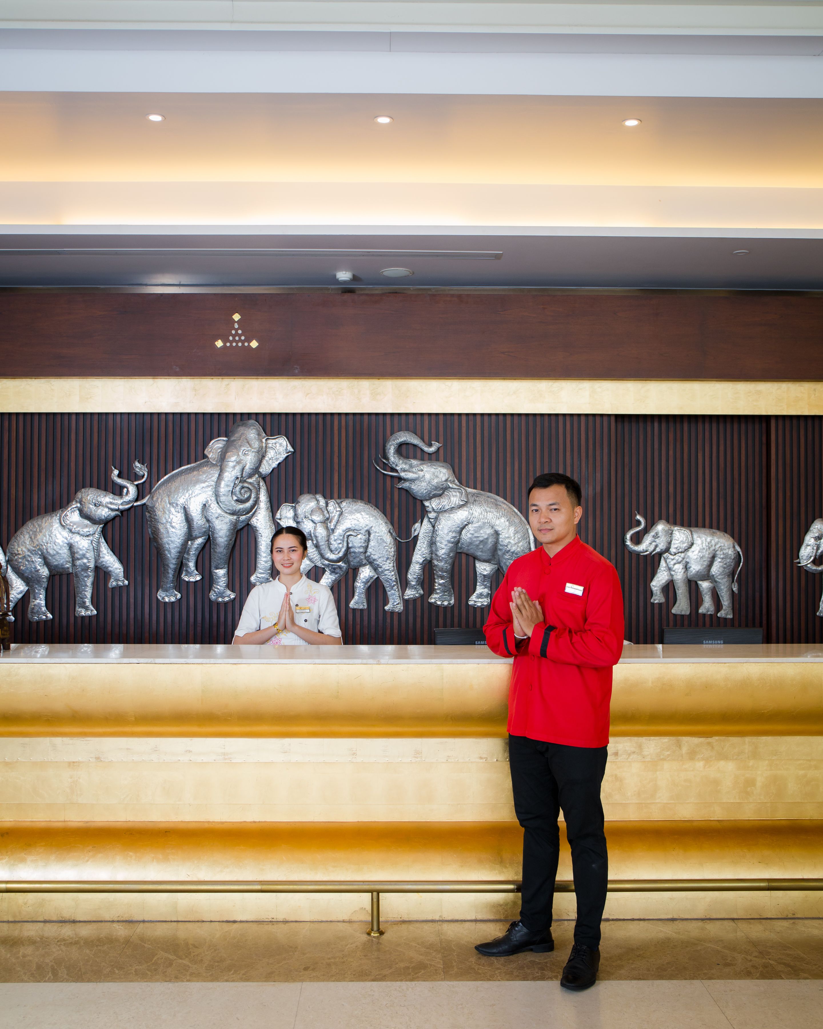 A reception area with a wall-mounted elephant sculpture and a Samsung TV.