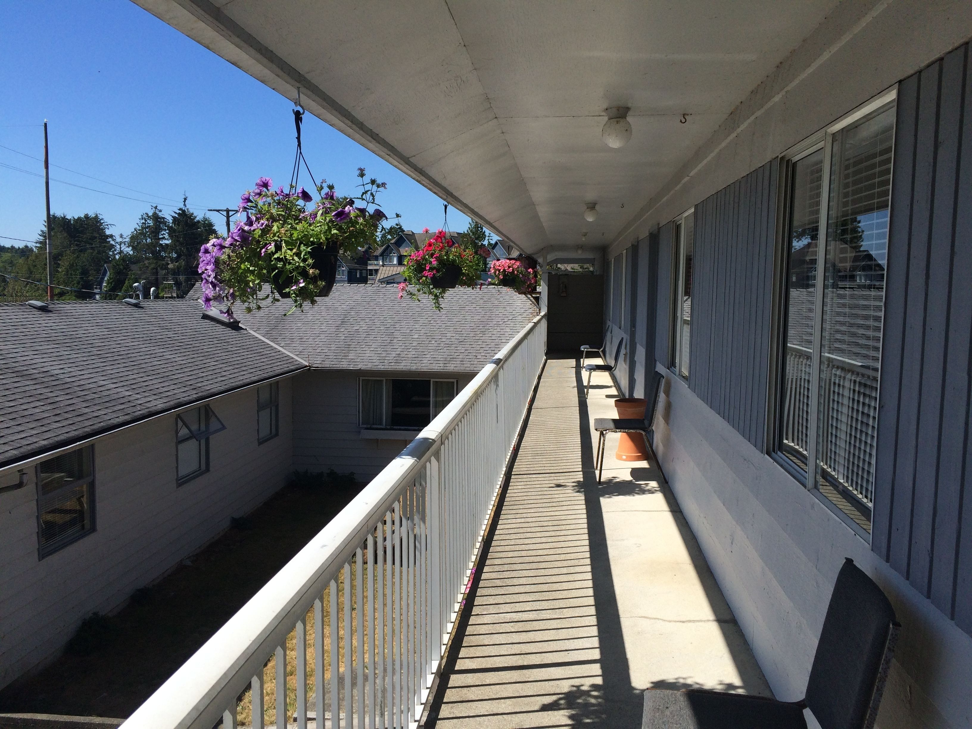 スタンダード ルーム ダブルベッド 2 台 簡易キッチン | テラス / パティオ