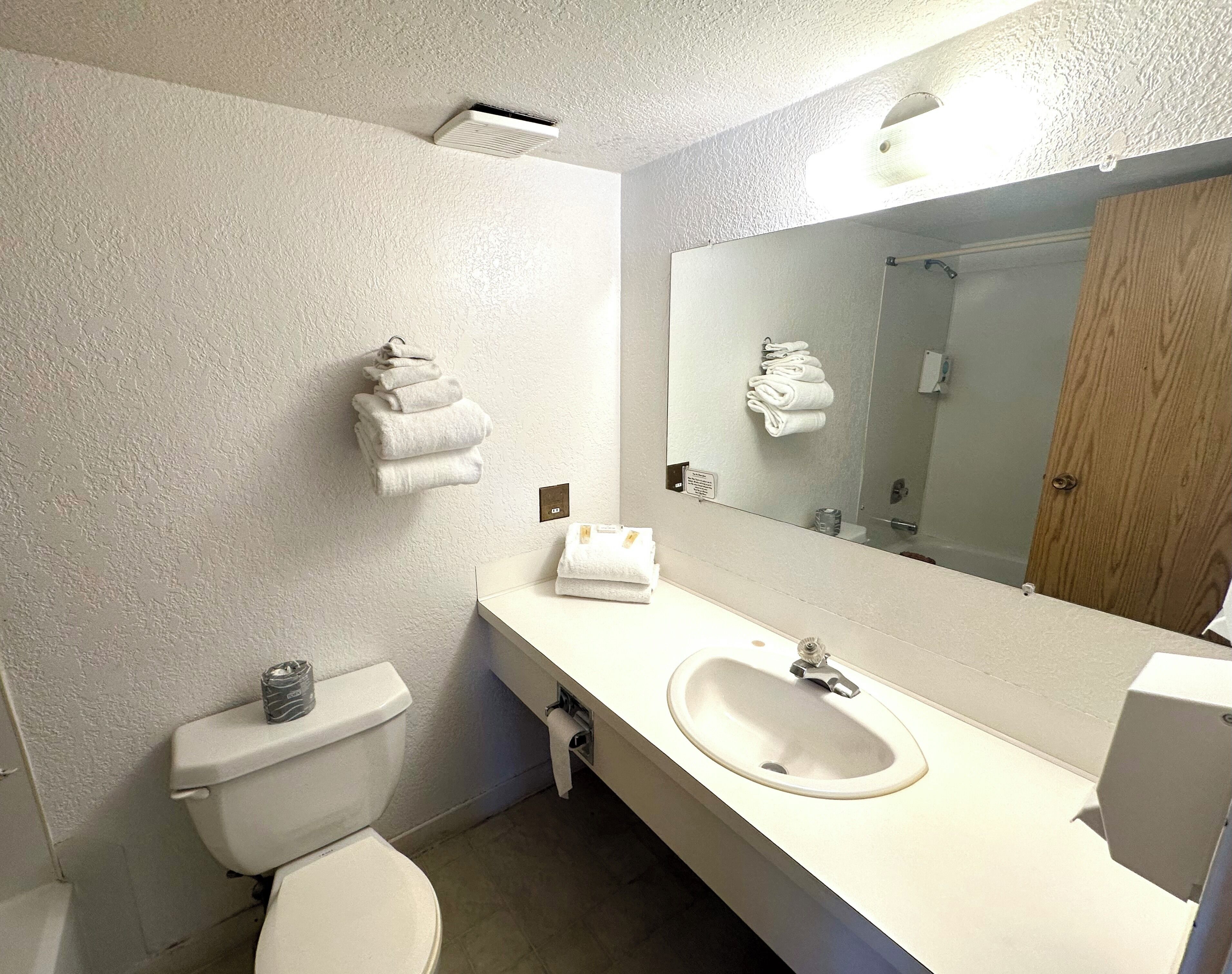 A bathroom with a toilet, sink, and a large mirror.