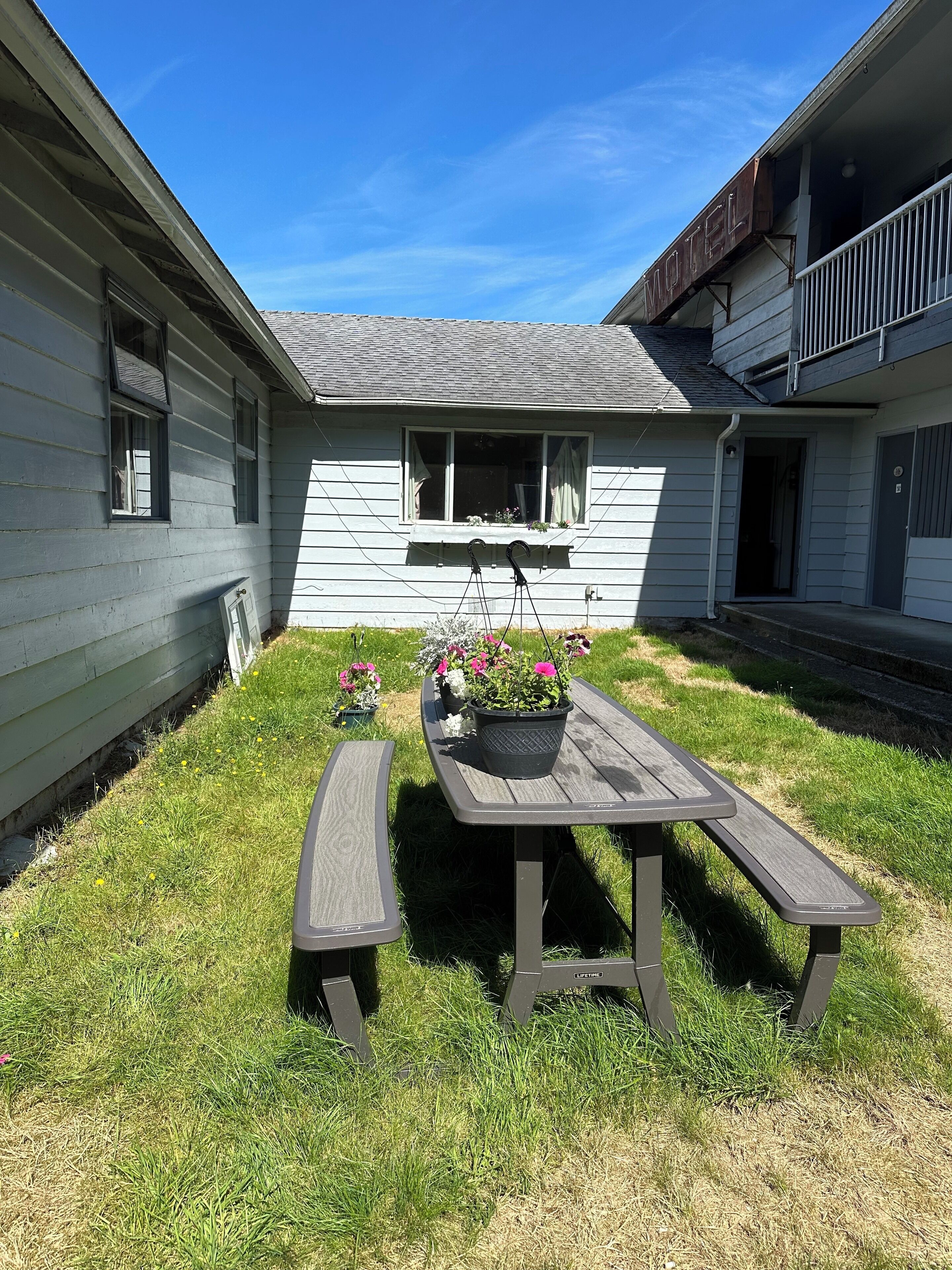 A backyard with a picnic table and potted plants.