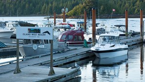 A marina with boats docked at wooden piers, a sign for Island West Resort, and a forested background.