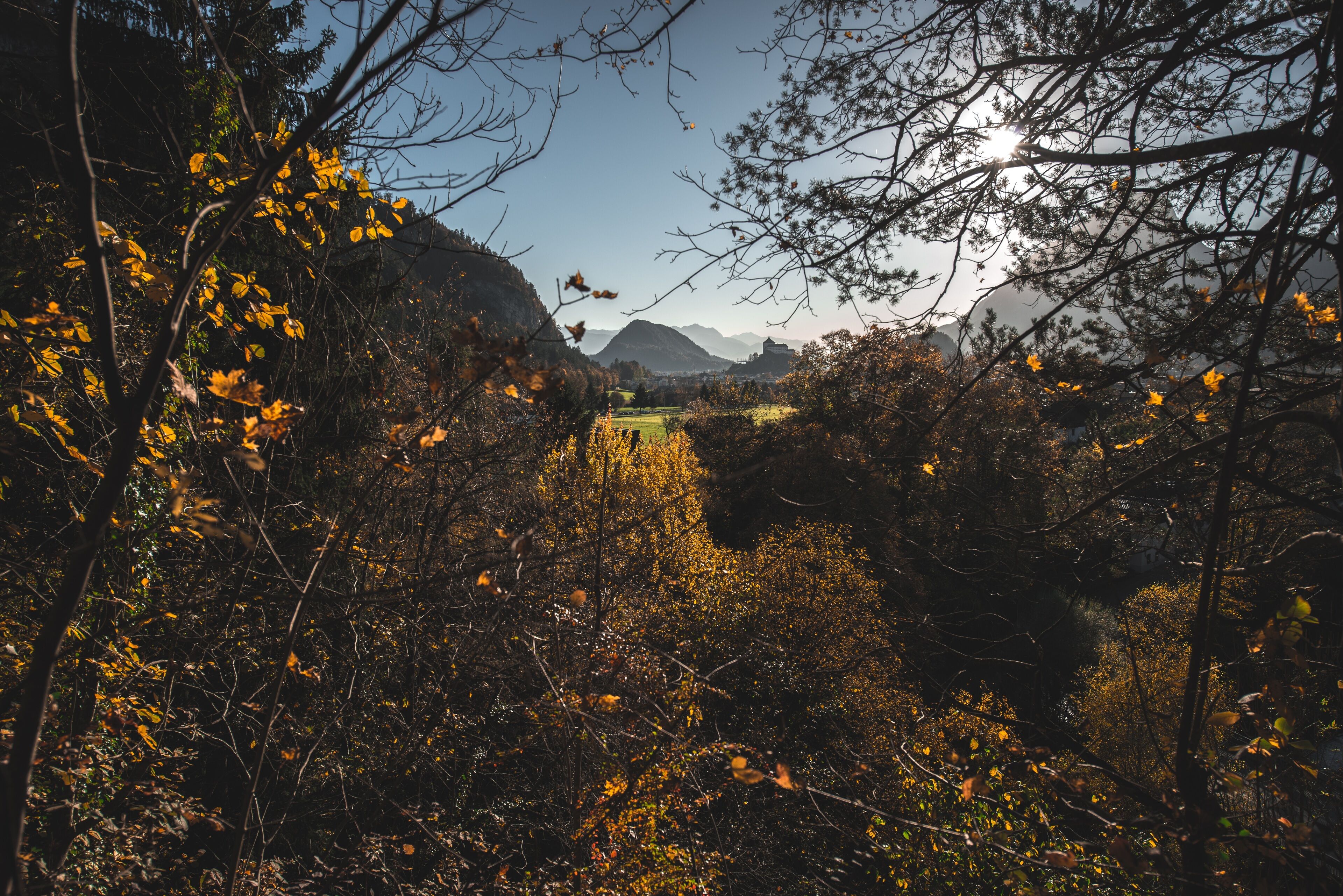 Ein bewaldetes Tal mit einem Berg im Hintergrund.