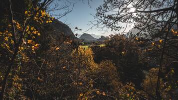 Ein bewaldetes Tal mit einem Berg im Hintergrund.