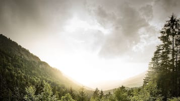 Une vallée boisée, avec une montagne en arrière-plan et un ciel dégagé.