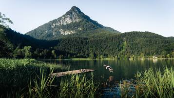 A lake with a wooden dock extending into the water, surrounded by lush greenery and a mountain in the background.