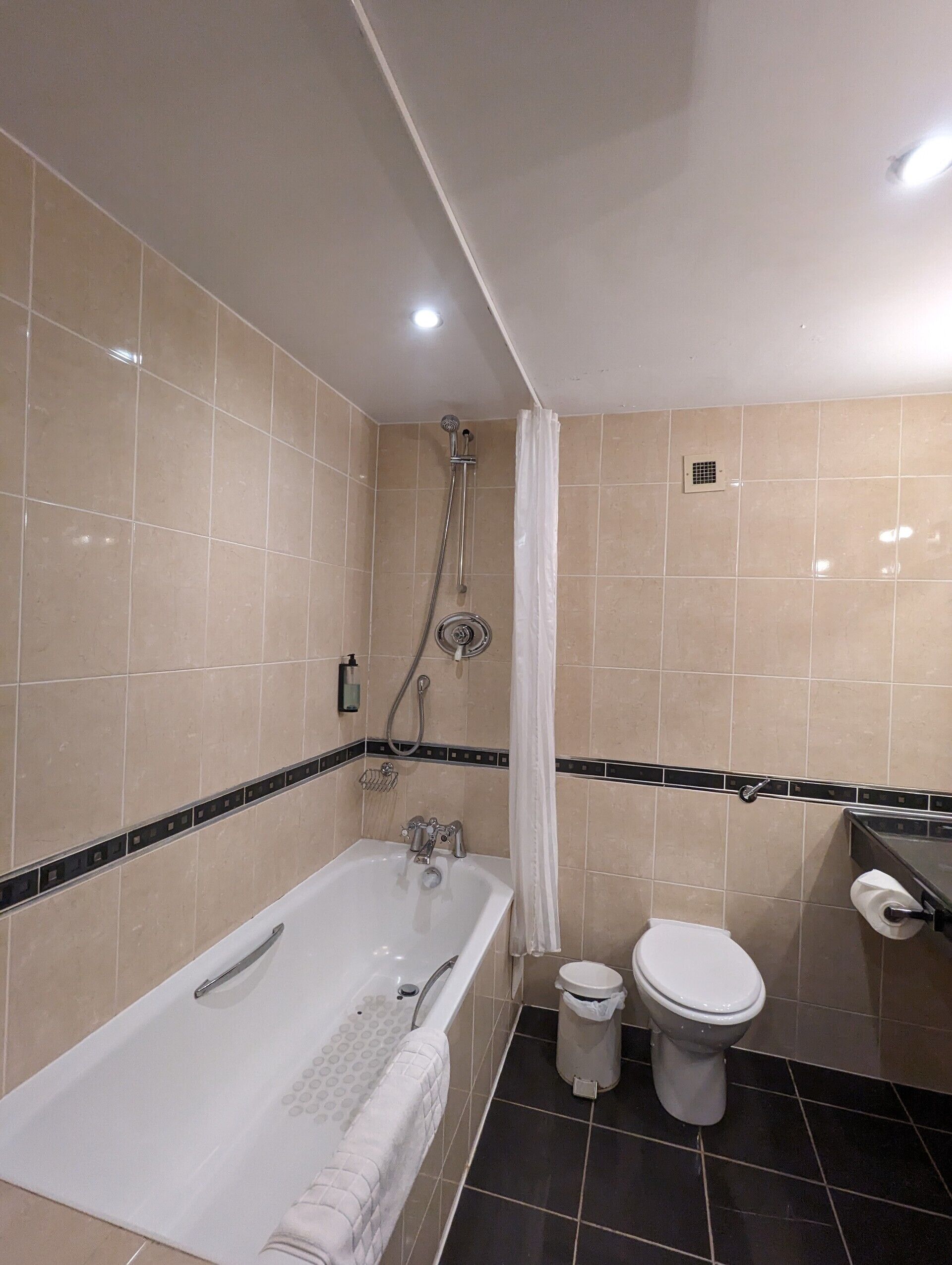 Combined shower/tub, free toiletries, hair dryer, towels