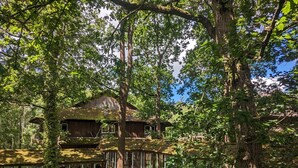 A treehouse with a glass bridge connecting to a wooden structure. -  Marwell Hotel Winchester South (Winchester)