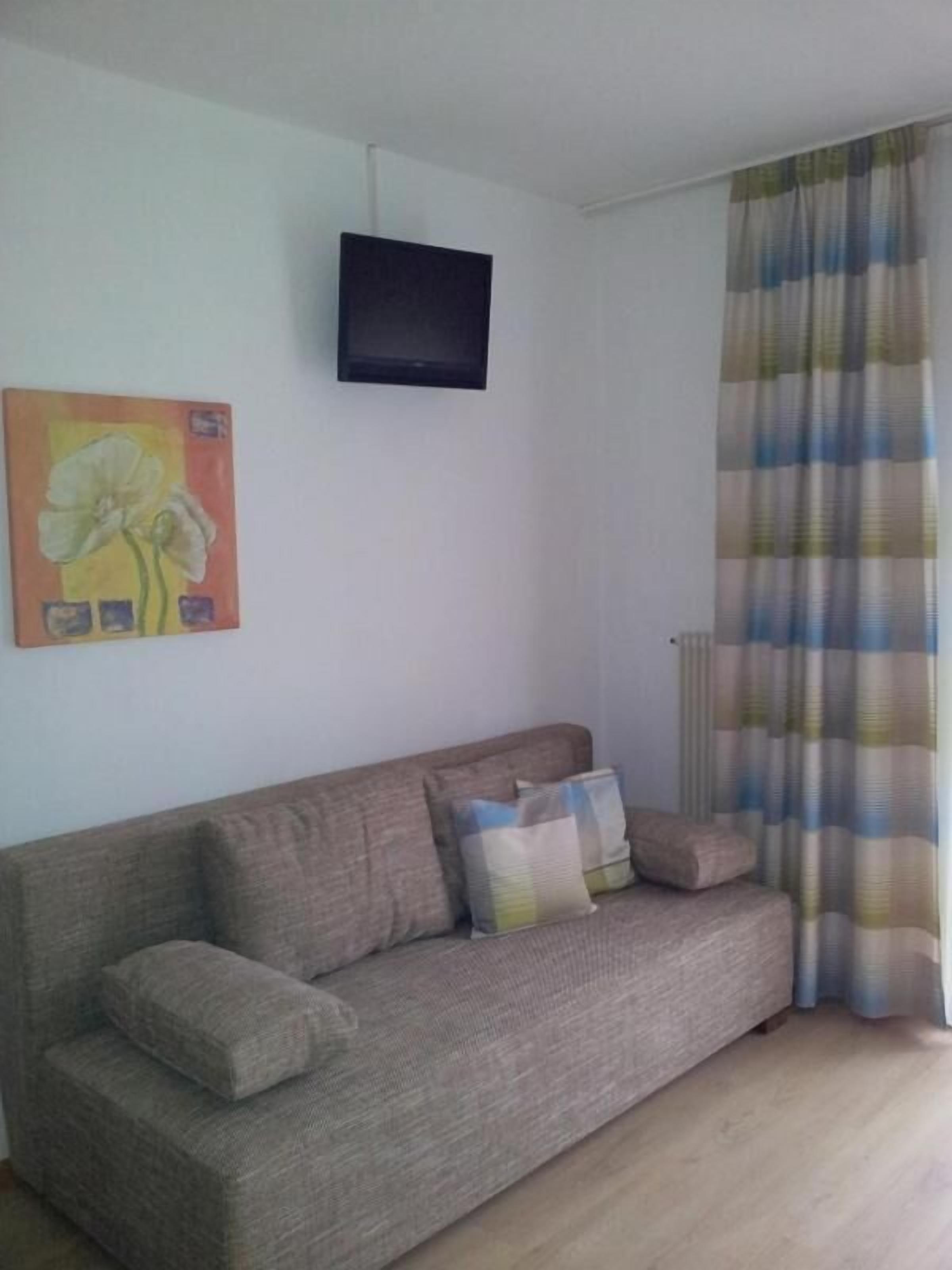 Ein Wohnzimmer mit grauem Sofa, einem Flachbildfernseher an der Wand und einem Blumenbild.