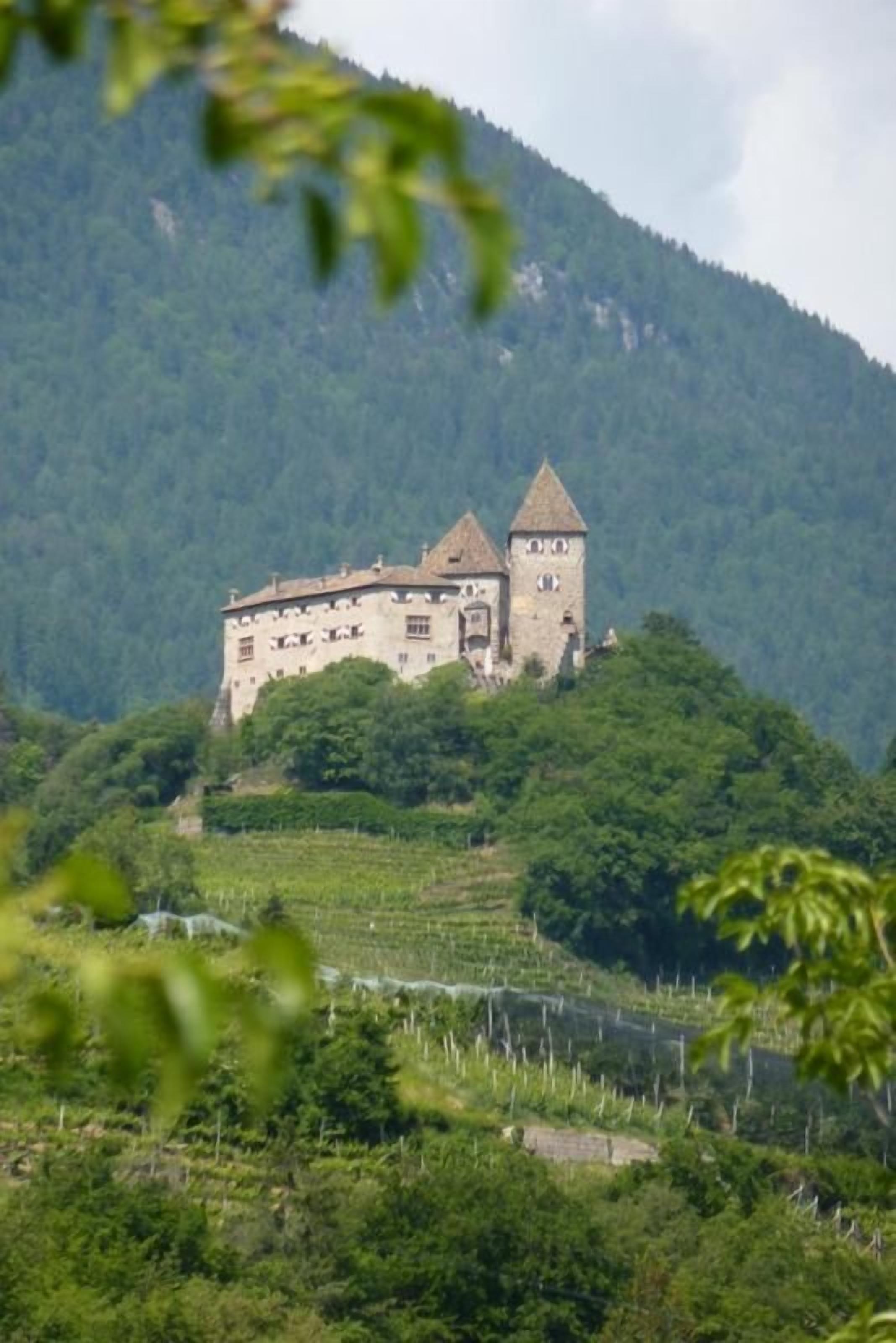 Uma construção semelhante a um castelo numa colina, com uma paisagem arborizada ao fundo.