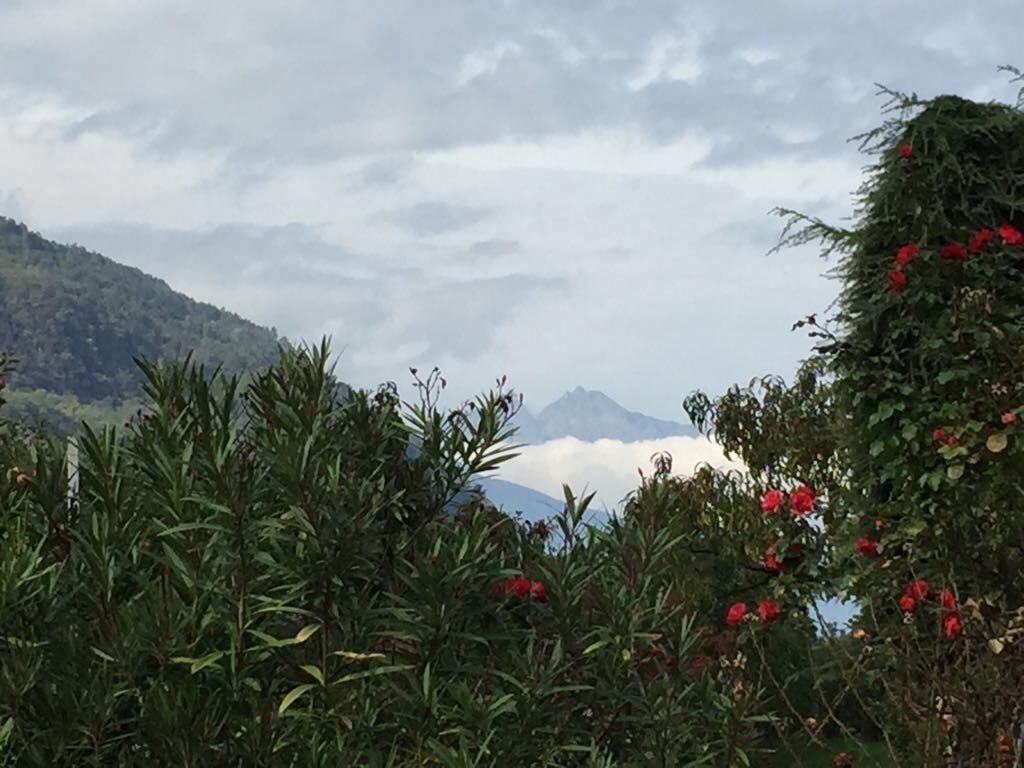 A mountainous landscape with dense vegetation and red flowers in the foreground.