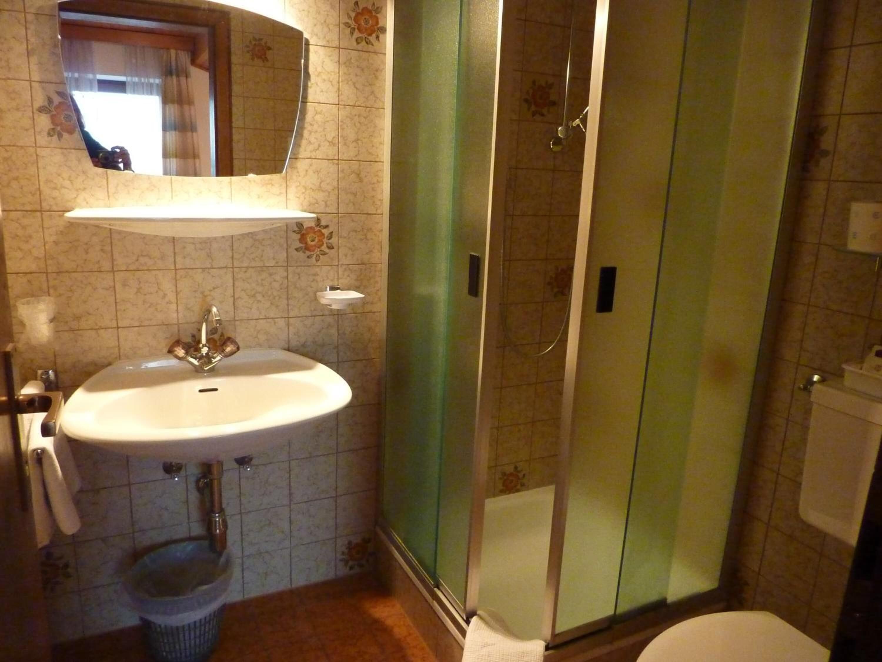 A bathroom with a sink, mirror, shower, and toilet.