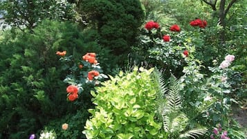 Jardín