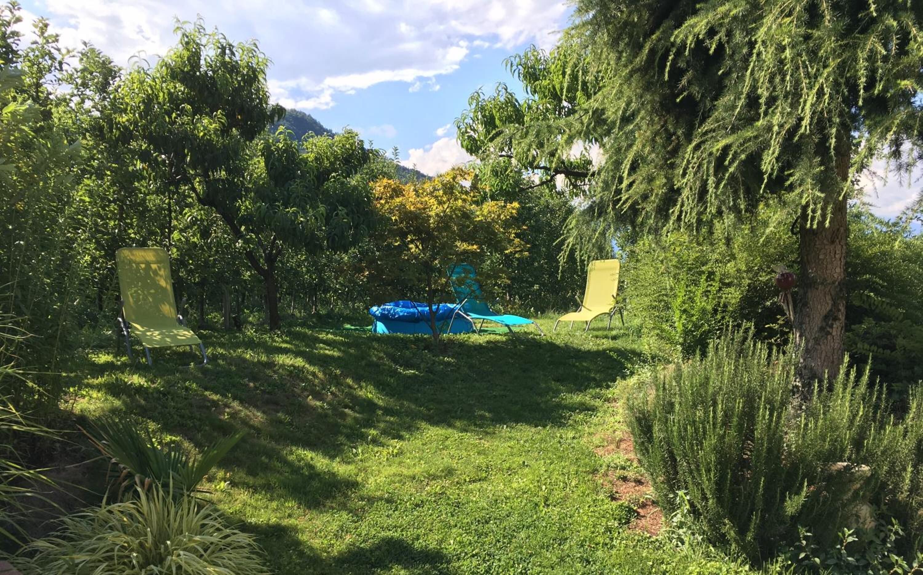 A garden with a blue inflatable pool, two yellow chairs, and various plants.