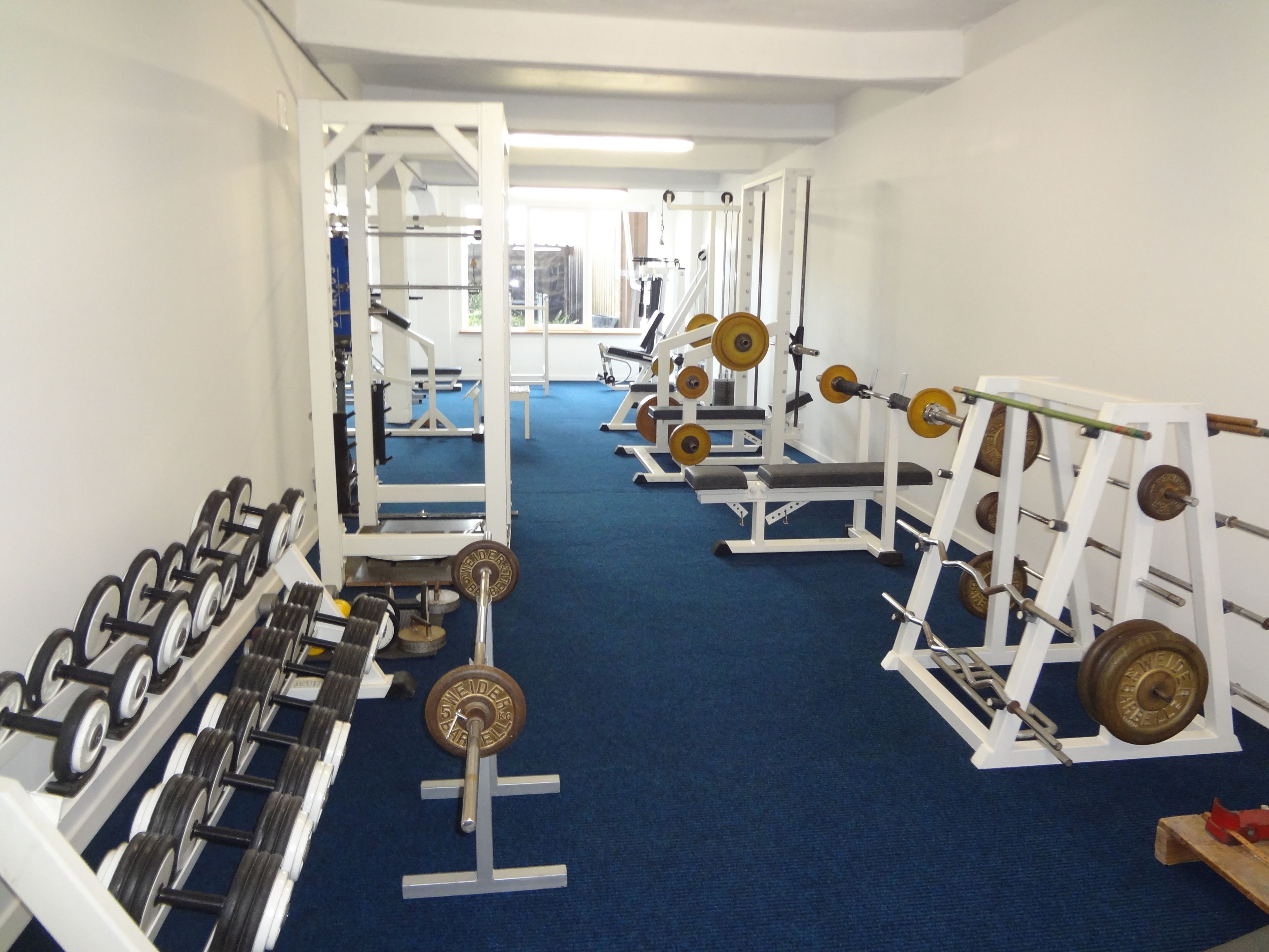 Un gimnasio con diverso equipamiento de levantamiento de pesas, incluyendo mancuernas, barras y discos.