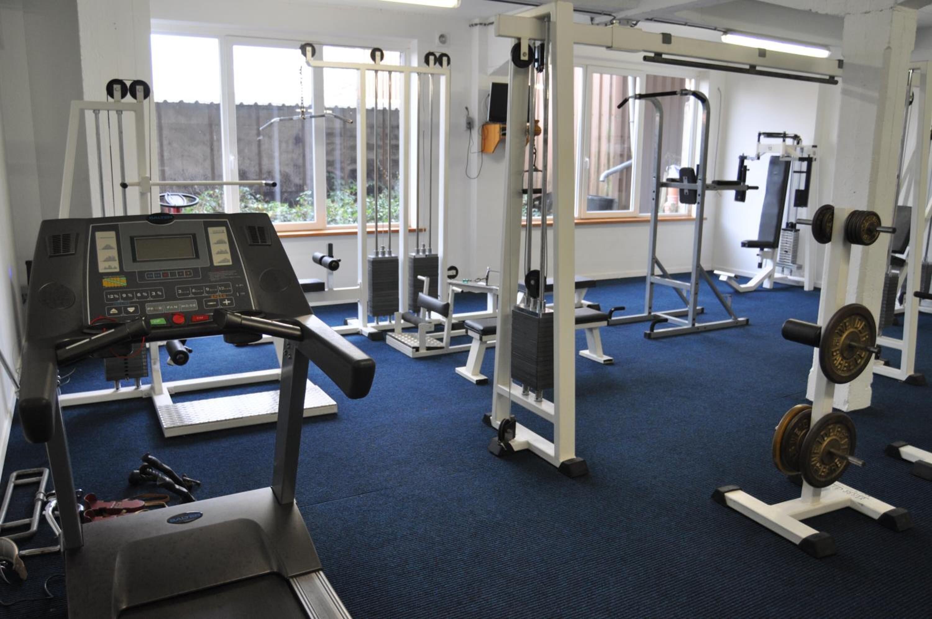 A gym with treadmills, weight machines, and free weights.