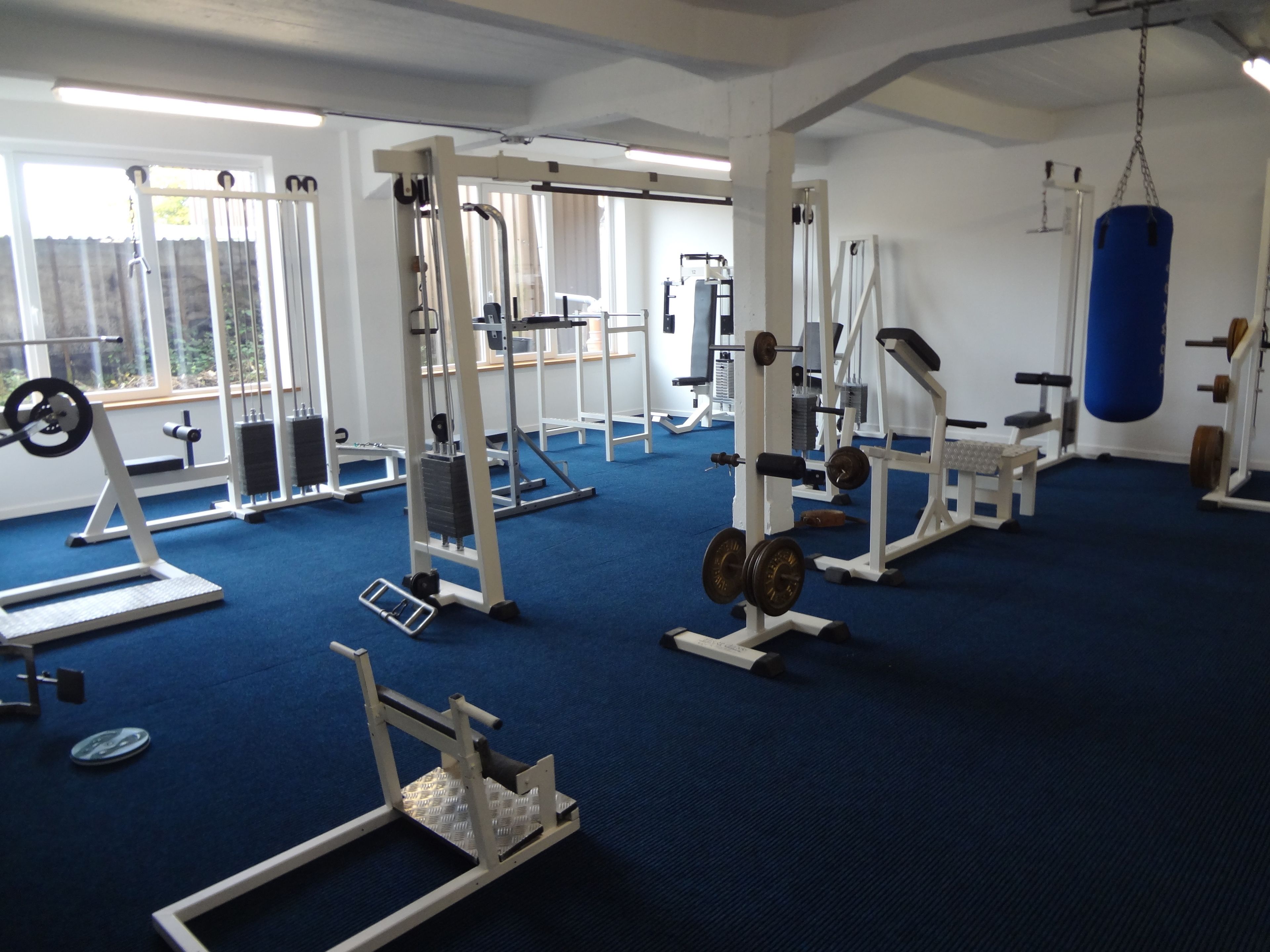 A gym with various exercise equipment, large windows, and a blue carpet.