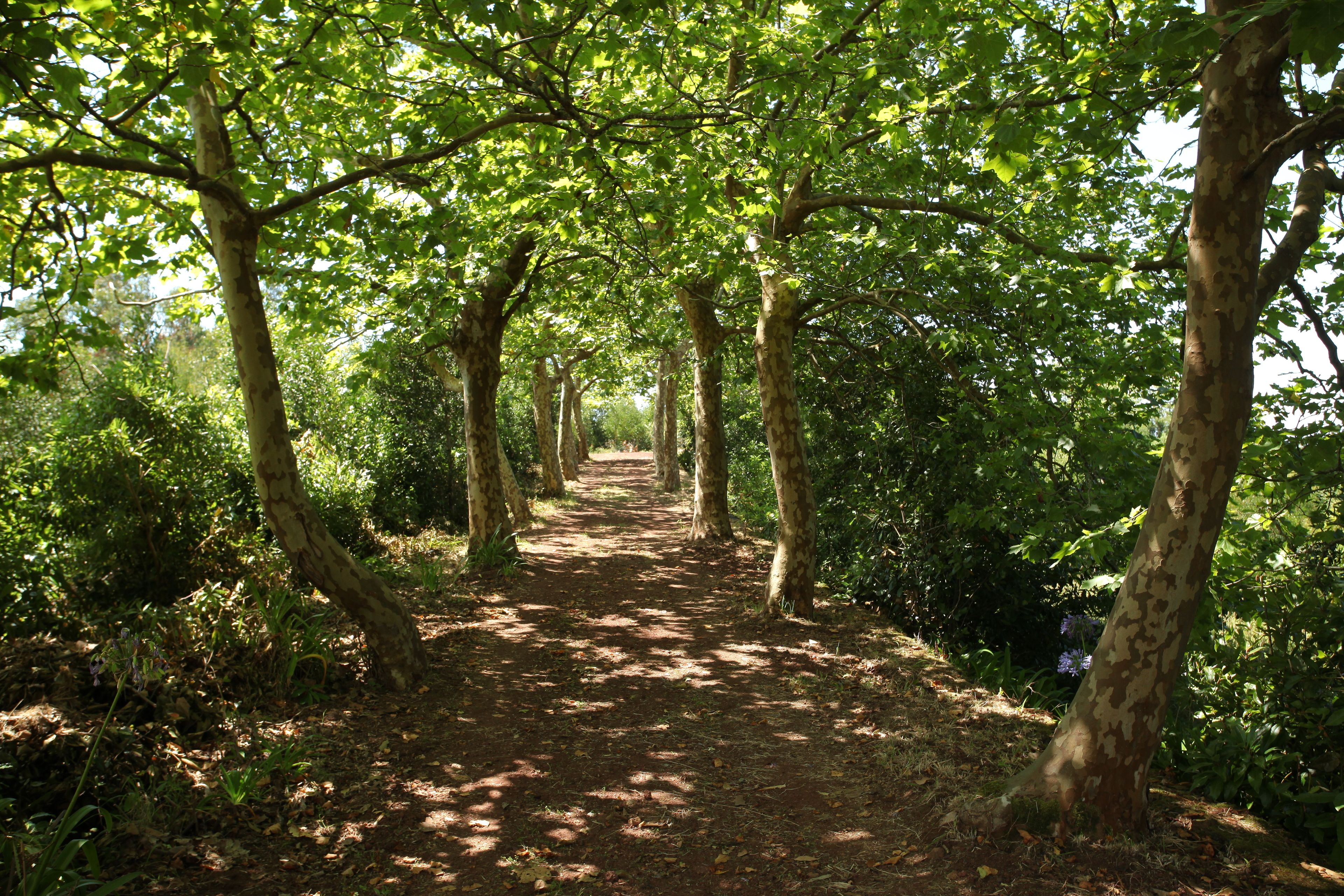 Photo - Quinta da Abelheira