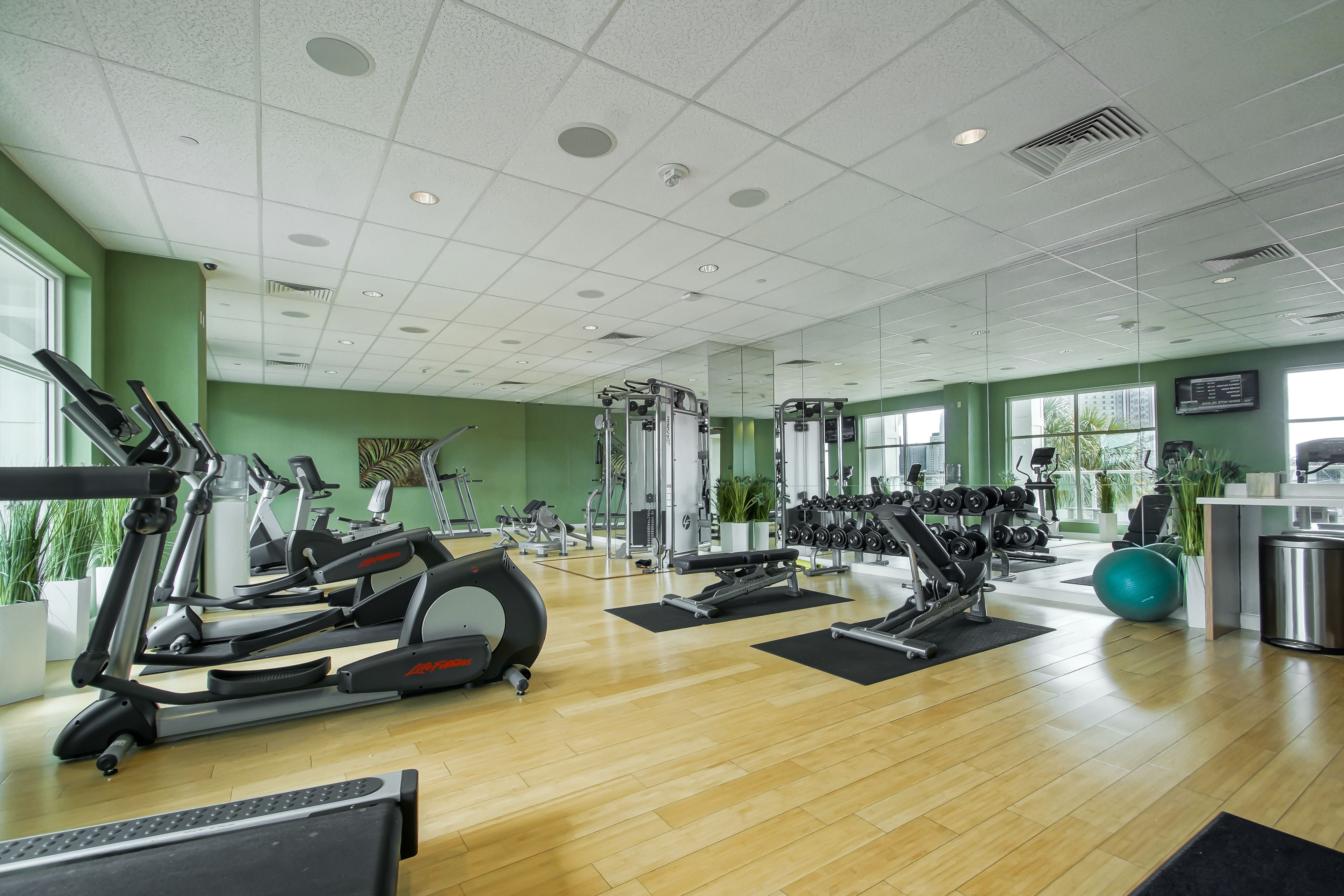 Un gimnasio con máquinas de cardio, bancos de pesas y espejos en las paredes.