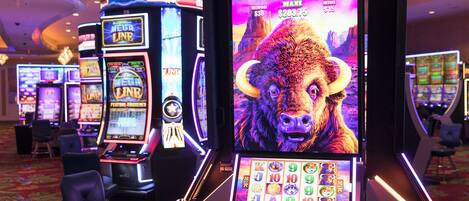 Un casinò con slot machine e un grande schermo a tema bufalo.