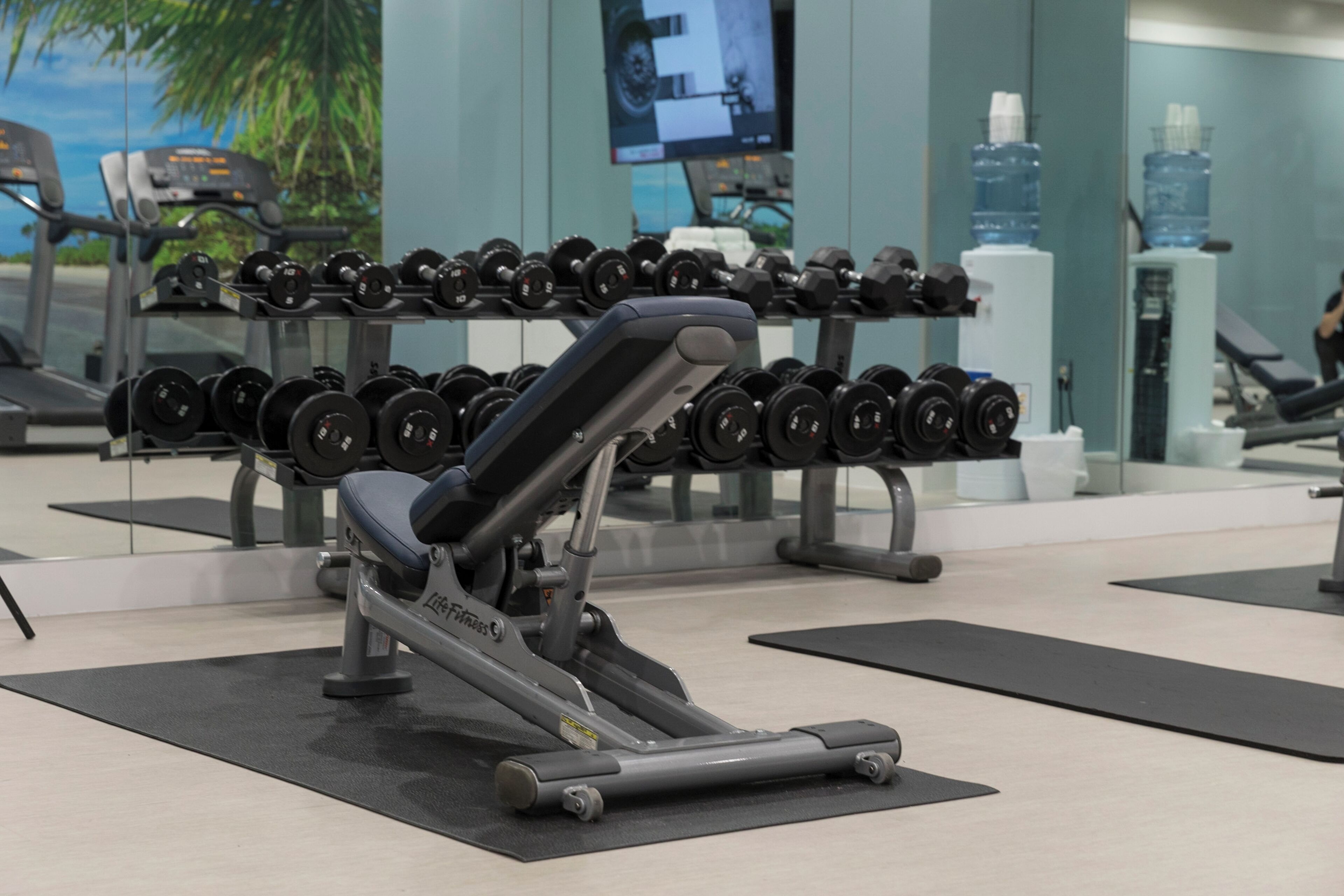 A gym with exercise equipment, including dumbbells and a treadmill.