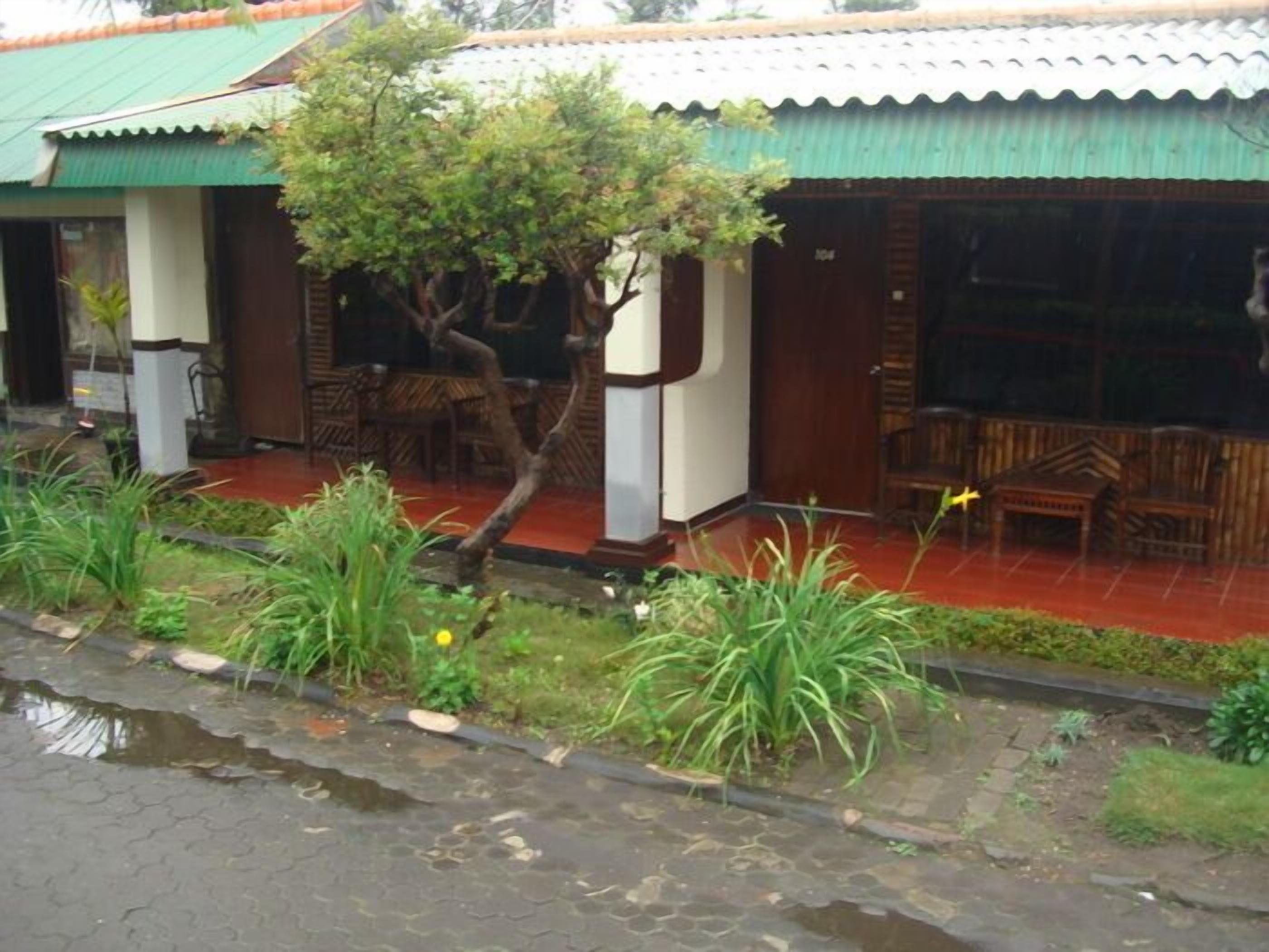 Un edificio con techo verde, zona de estar al aire libre y un árbol en la entrada.
