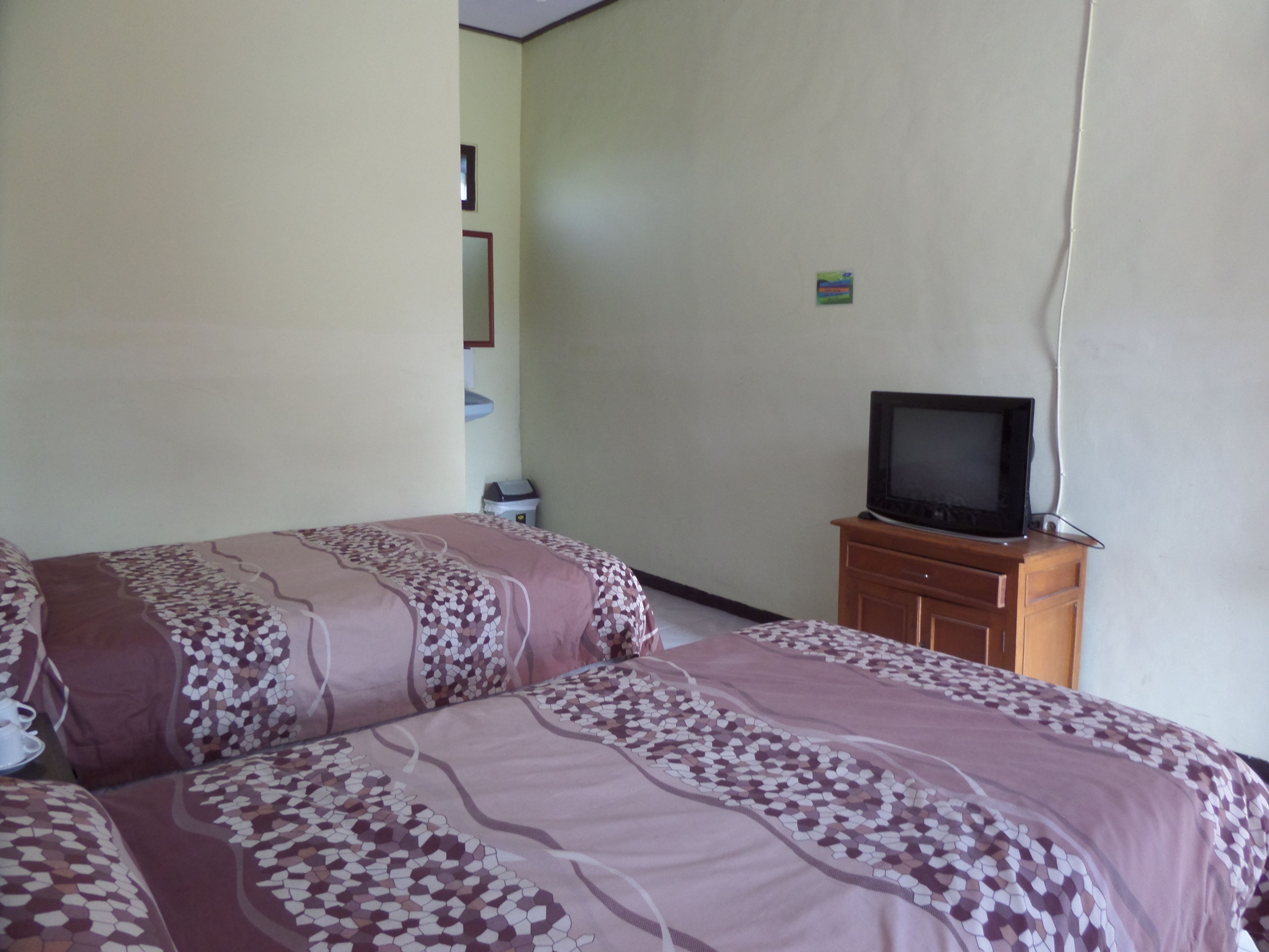 Habitación de hotel con dos camas, un televisor sobre un mueble de madera y un cuadro pequeño colgado en la pared.
