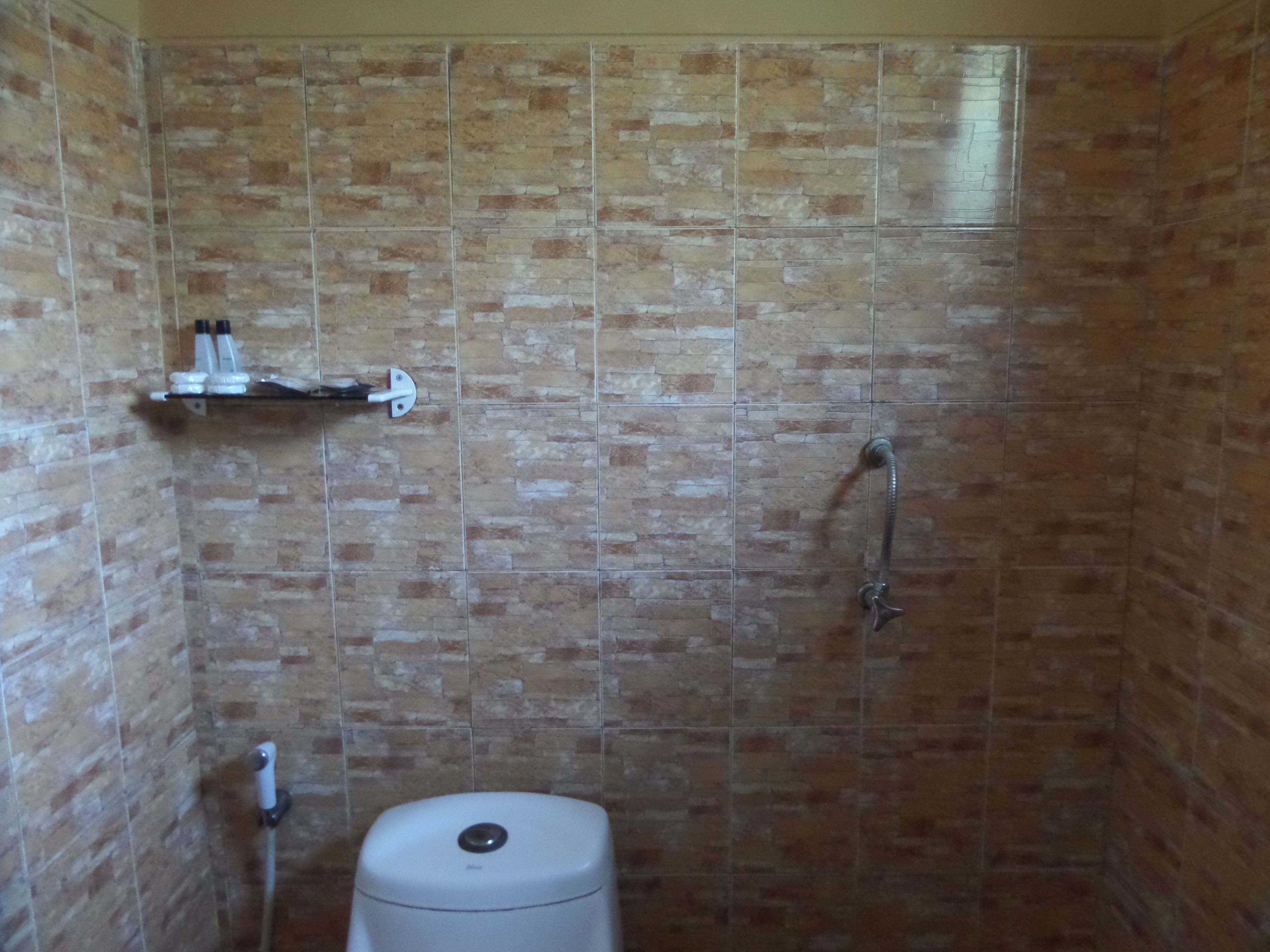 Casa de banho com chuveiro, sanita e prateleira com artigos de higiene pessoal.