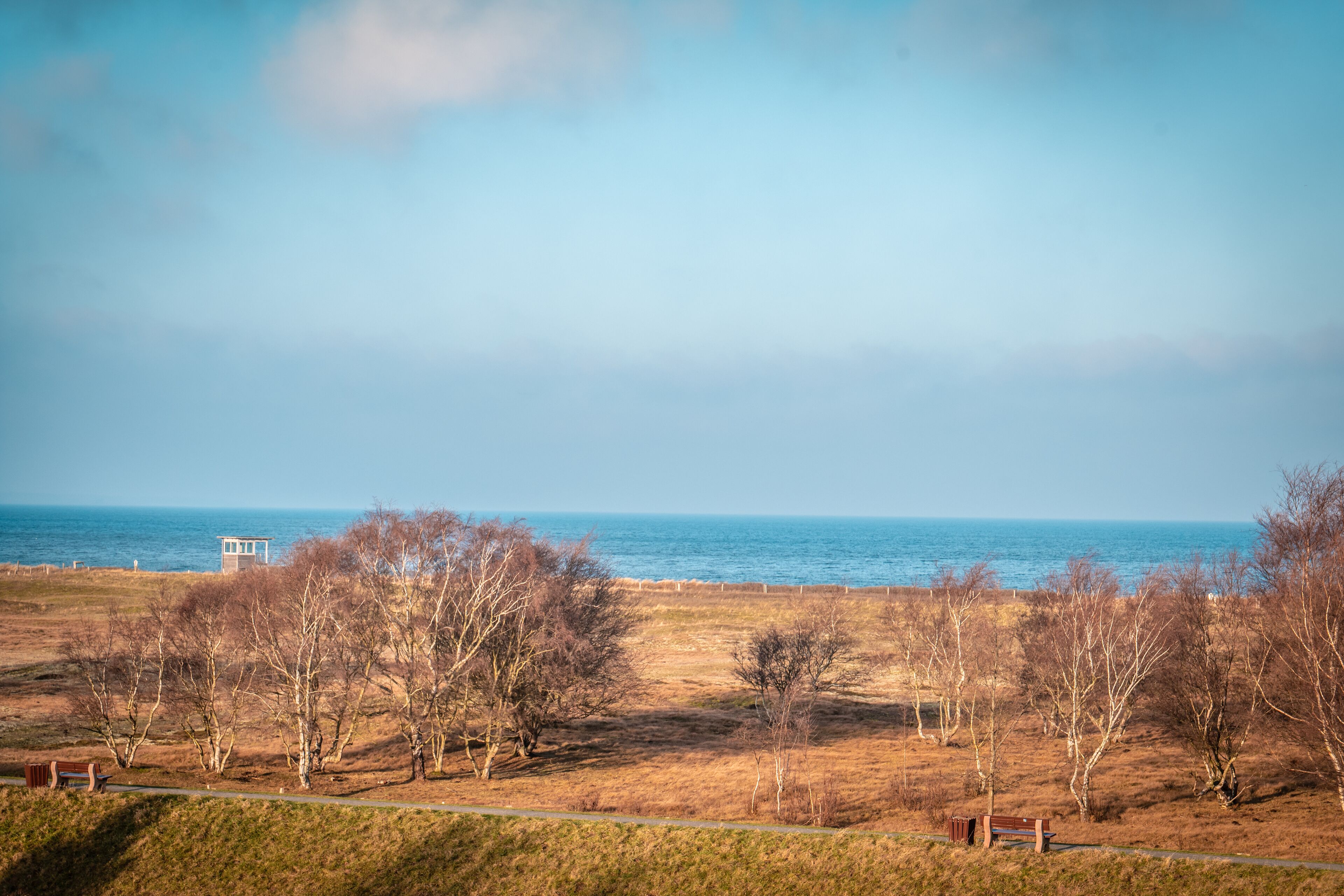 A coastal landscape with a bench, a lifeguard tower, and a path leading to the beach.