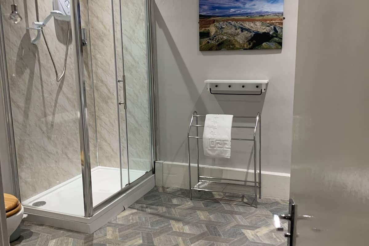 A modern bathroom with a glass shower enclosure, a toilet, a towel rack, and a painting on the wall.