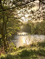 Suite, baño privado | Miscelánea