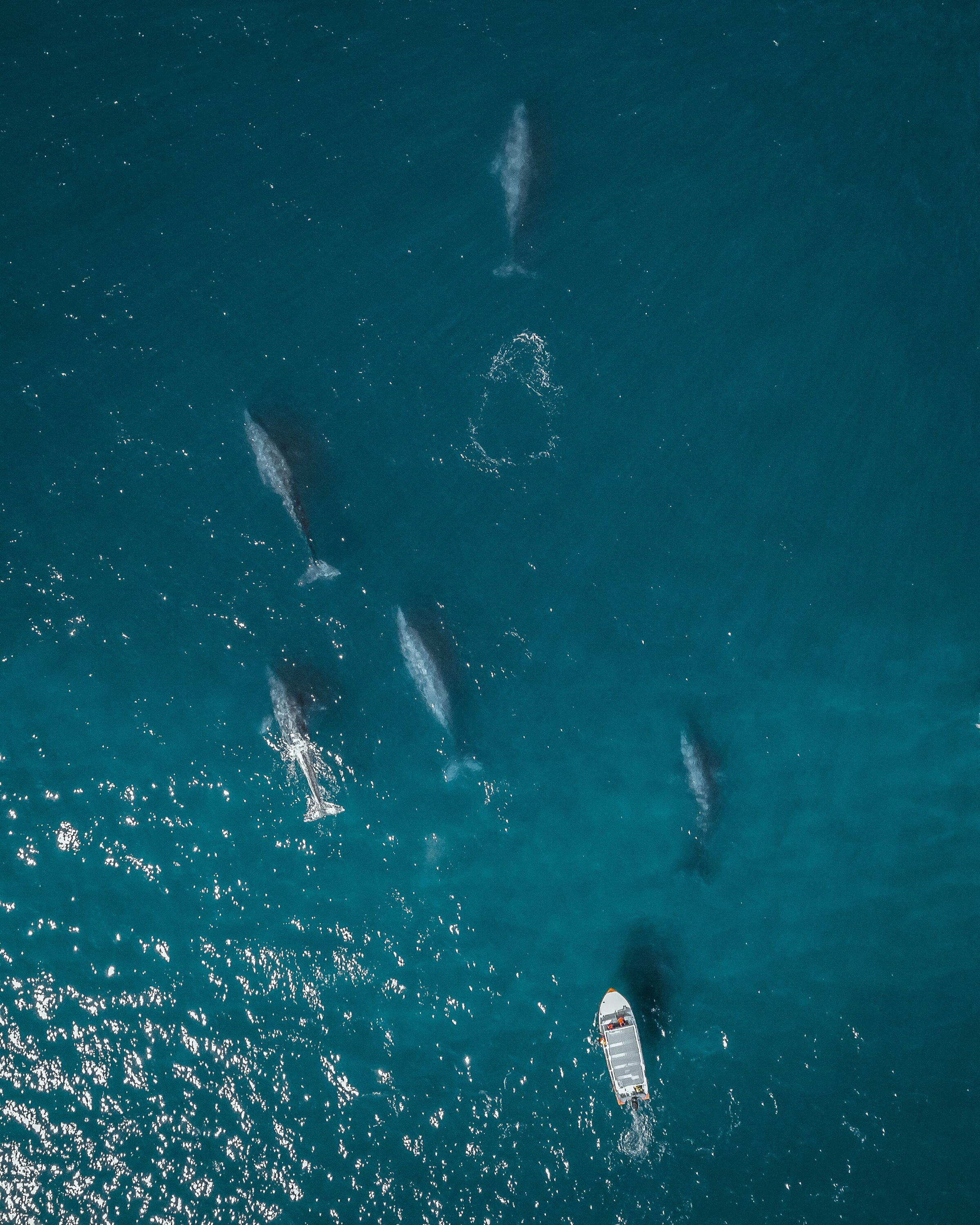 Foto - ZOA Hotel - Adults Only